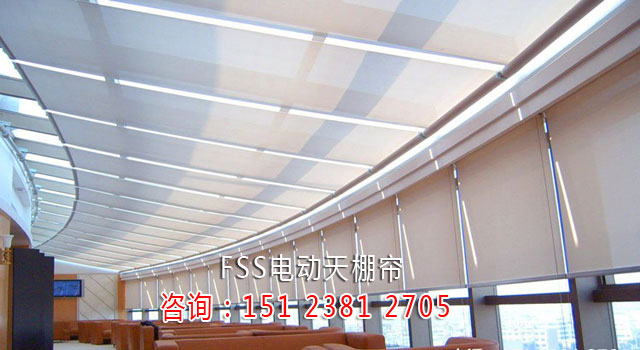 FSS�綯������