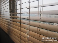 ʵľ��Ҷ�� ҶƬ50mm