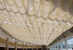 FCS������