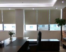 �칫�Ҿ���