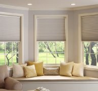 ����䳲��