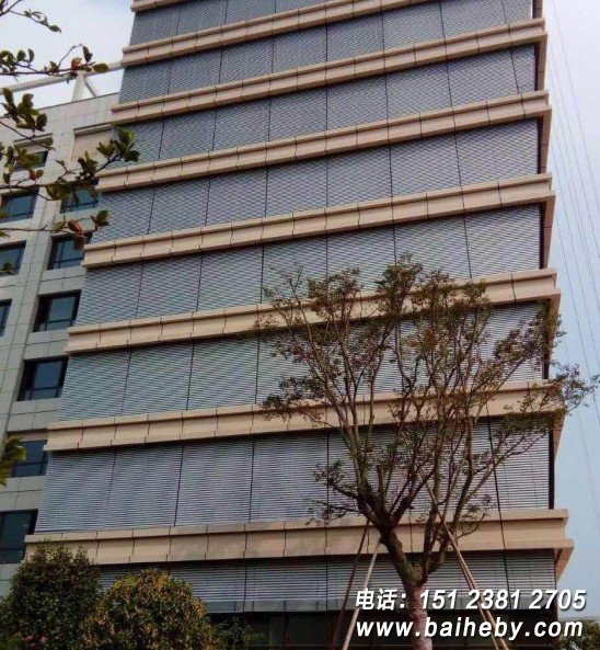 ����綯������Ҷ����װЧ��ͼ