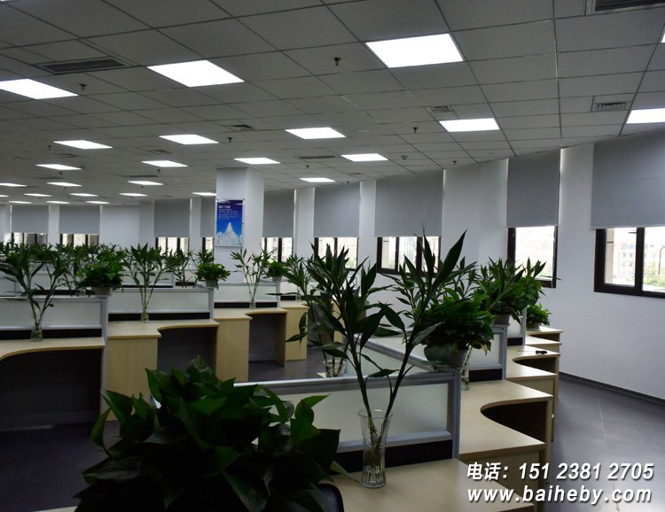 �칫�Ҿ�������