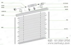 ����綯��Ҷ��