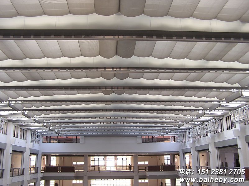 FCS������