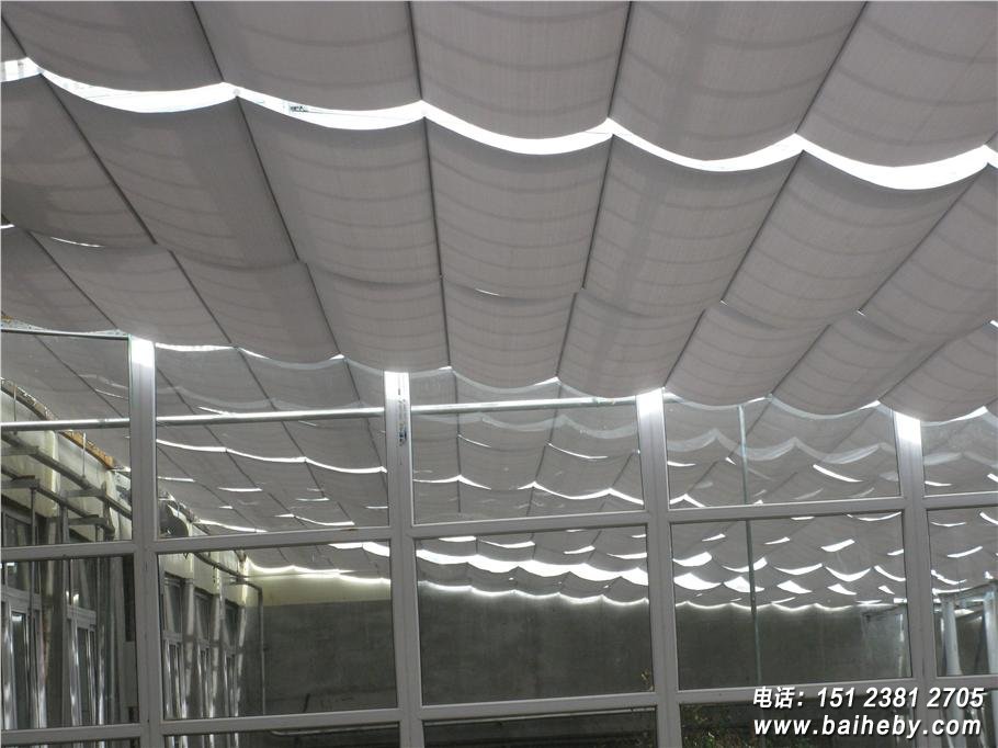 FCS������