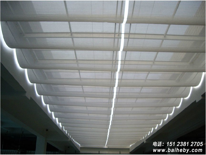 FCS������