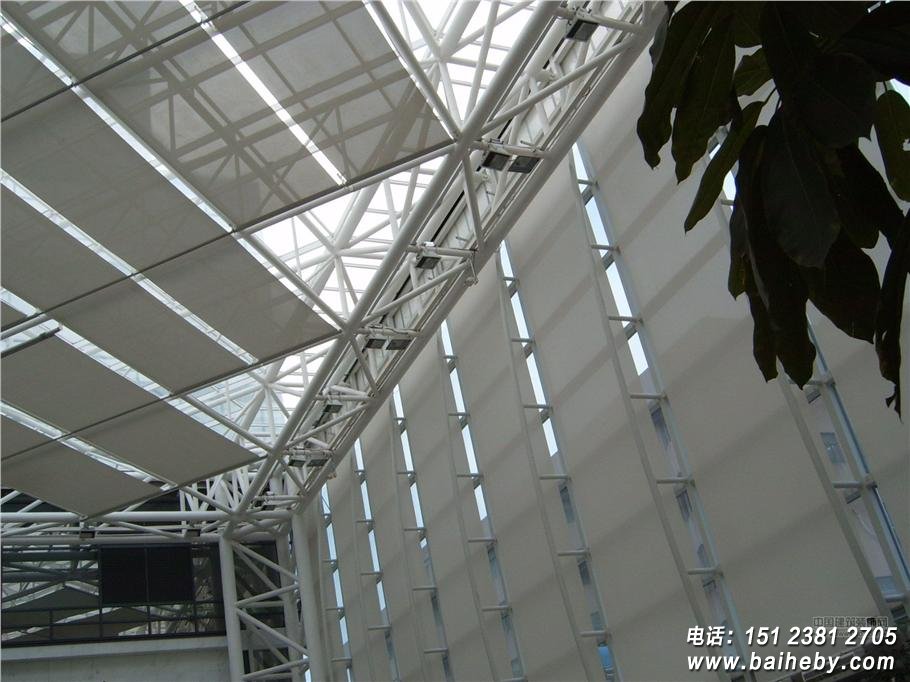 fss������