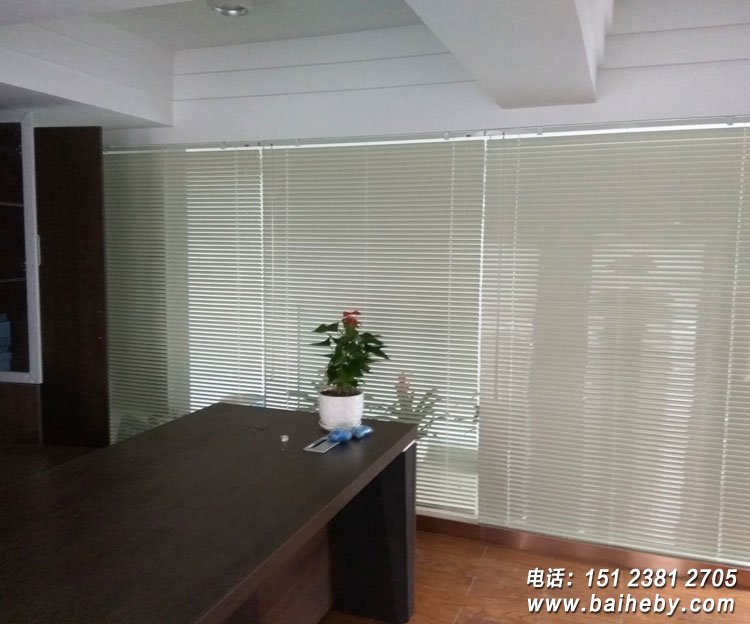 �����Ҷ��