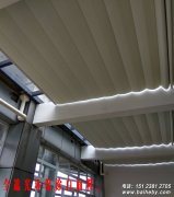 ����綯�������������ֶ��͵綯��ôѡ��