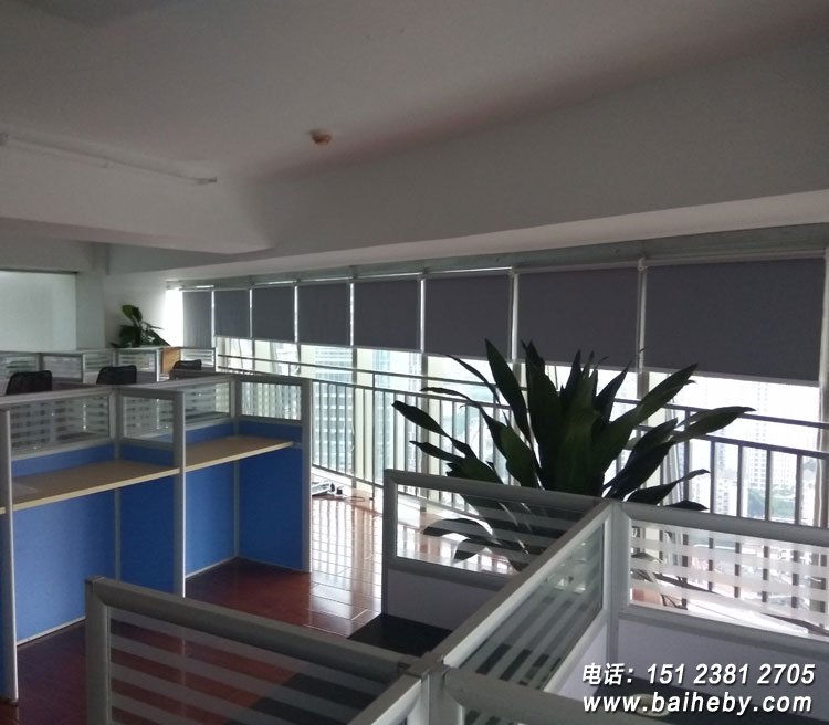 �칫��������