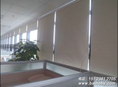 ����綯����ѡ������