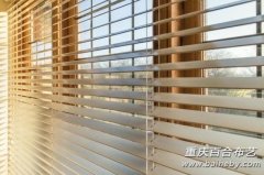 ֻҪ15���� ��ͨ���������ֻ����Ʊ�����