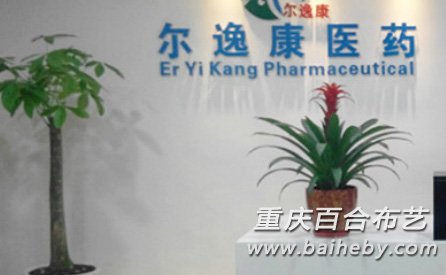 ������ݿ�ҽҩ��˾