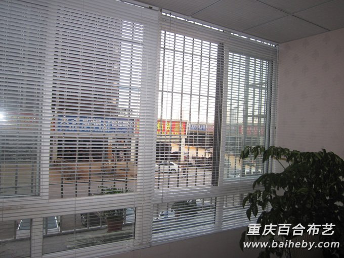 ����칫����Ч��ͼ֮��Ҷ��