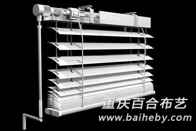 �綯��Ҷ��