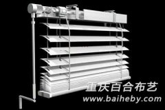 �綯��Ҷ���Ĺ����ص�