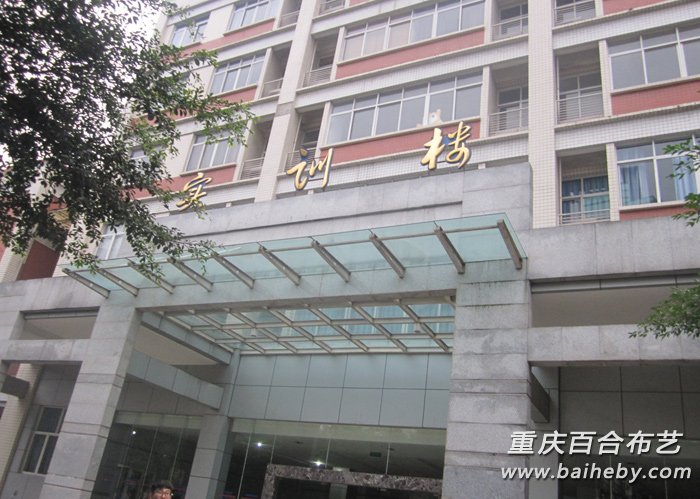 ������ʵѵ¥��Ҷ